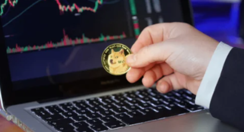 Dogecoin Bulls On Hold Analyst Cautions Vs Premature DOGE Expectations